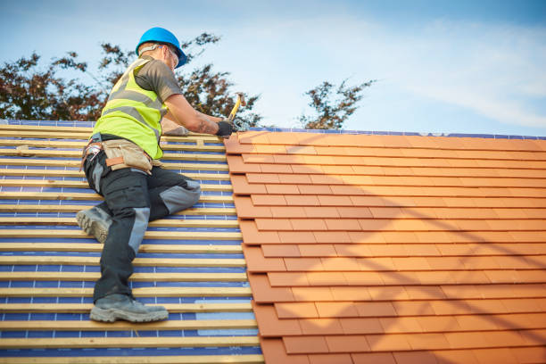 Best Asphalt Shingle Roofing  in San Carlos, TX